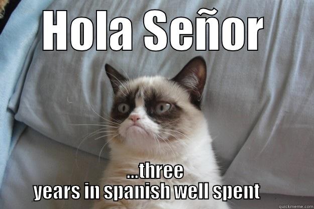 HOLA SEÑOR ...THREE  YEARS IN SPANISH WELL SPENT       Grumpy Cat