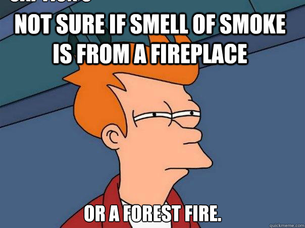 Not sure if smell of smoke is from a fireplace or a forest fire. Caption 3 goes here - Not sure if smell of smoke is from a fireplace or a forest fire. Caption 3 goes here  Futurama Fry