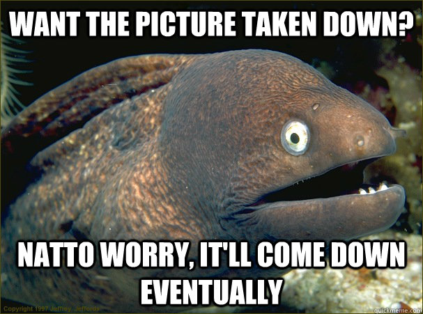 want the picture taken down?  natto worry, it'll come down eventually  Bad Joke Eel