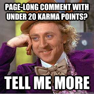 page-long comment with under 20 karma points? tell me more  Condescending Wonka