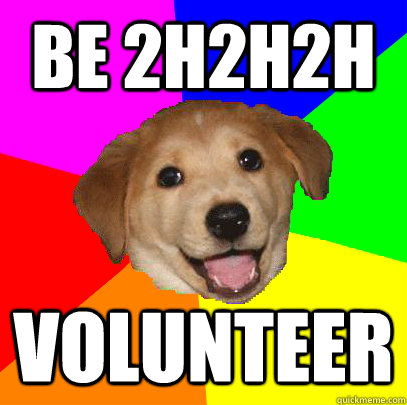 BE 2H2H2H VOLUNTEER  Advice Dog