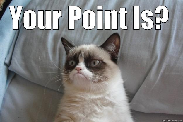 your point is? - YOUR POINT IS?  Grumpy Cat