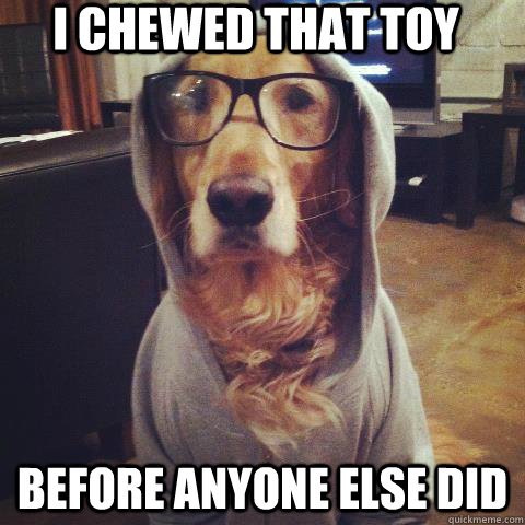 i chewed that toy before anyone else did  Hipster Dog