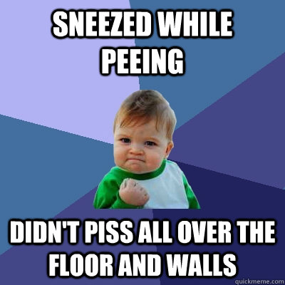 Sneezed while peeing Didn't piss all over the floor and walls - Sneezed while peeing Didn't piss all over the floor and walls  Success Kid