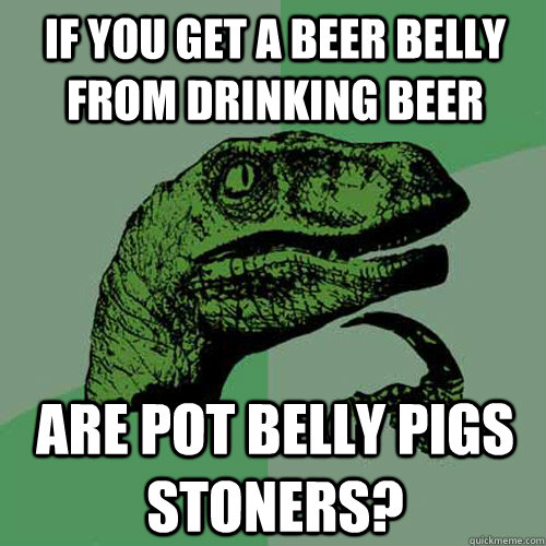 If you get a beer belly from drinking beer Are pot belly pigs stoners?  Philosoraptor