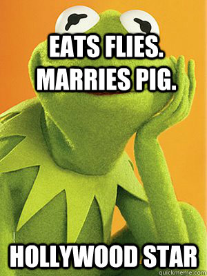 Eats flies. marries pig. Hollywood Star  
