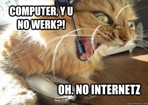 Computer, Y U NO WERK?! Oh. No internetz  Insanity Cat