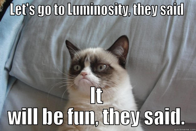 LET'S GO TO LUMINOSITY, THEY SAID IT WILL BE FUN, THEY SAID. Grumpy Cat