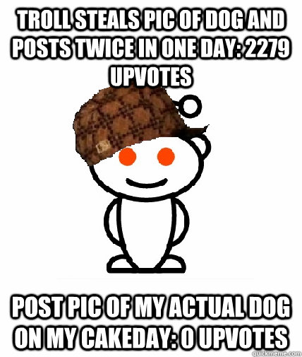 Troll steals pic of dog and posts twice in one day: 2279 upvotes Post pic of my actual dog on my cakeday: 0 upvotes  Scumbag Reddit