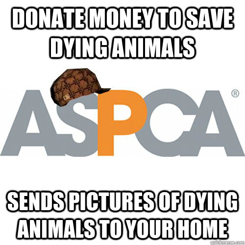 Donate money to save dying animals Sends pictures of dying animals to your home - Donate money to save dying animals Sends pictures of dying animals to your home  Scumbag Animal Advocate