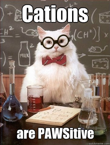 Cations are PAWSitive  Chemistry Cat