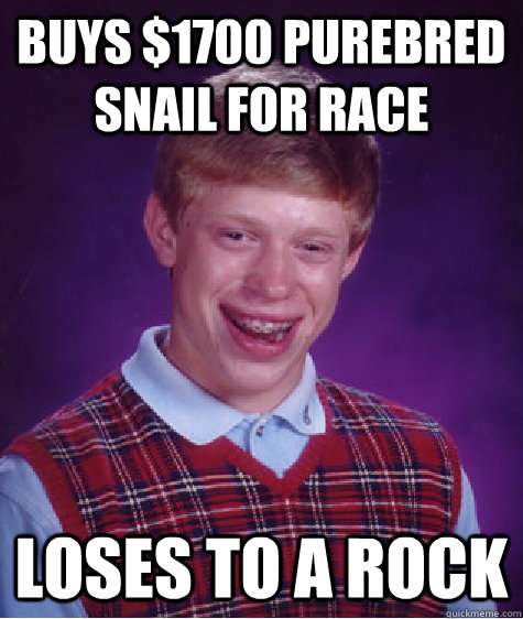 Buys $1700 purebred snail for race Loses to a rock  Bad Luck Brian