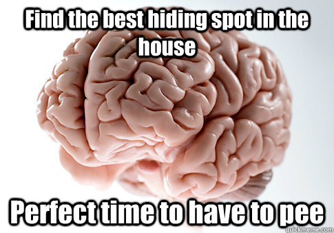 Find the best hiding spot in the house Perfect time to have to pee   Scumbag Brain