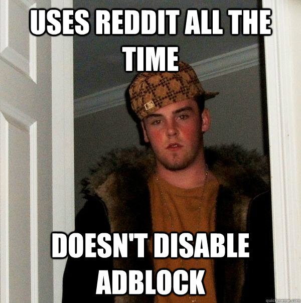 Uses reddit all the time doesn't disable adblock  Scumbag Steve