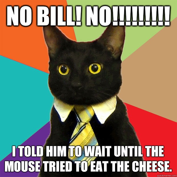 No Bill! No!!!!!!!!!  I told him to wait until the mouse tried to eat the cheese.  Business Cat