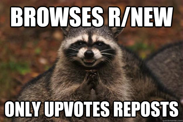 Browses r/new Only upvotes reposts  Evil Plotting Raccoon