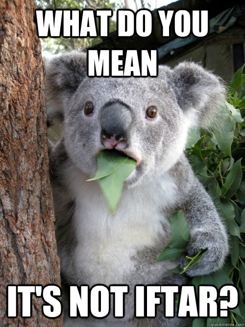 What do you mean It's not iftar?  Surprised Koala