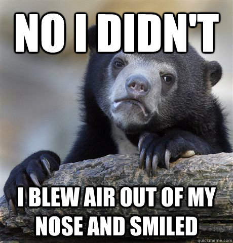 No i didn't  I blew air out of my nose and smiled  - No i didn't  I blew air out of my nose and smiled   Confession Bear