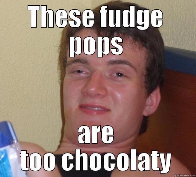 THESE FUDGE POPS ARE TOO CHOCOLATY 10 Guy