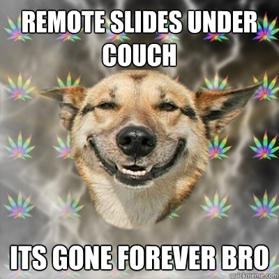 Remote slides under couch ITS GONE FOREVER BRO  Stoner Dog