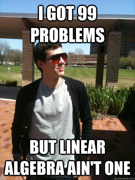 I got 99 Problems But Linear Algebra ain't one  Jay the Proud Mathmatician