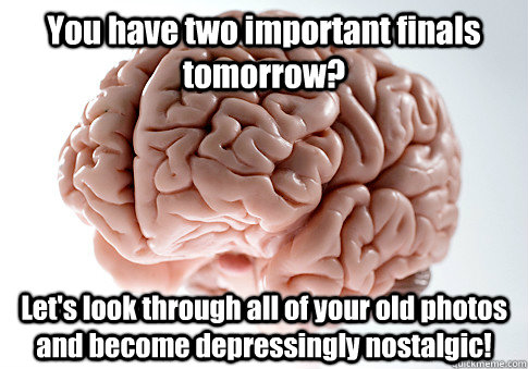 You have two important finals tomorrow? Let's look through all of your old photos and become depressingly nostalgic!   Scumbag Brain