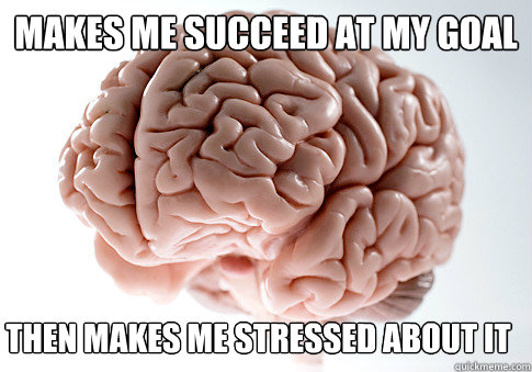 Makes me succeed at my goal Then makes me stressed about it  Scumbag Brain