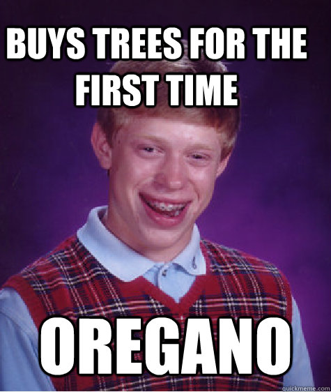 Buys trees for the first time Oregano  