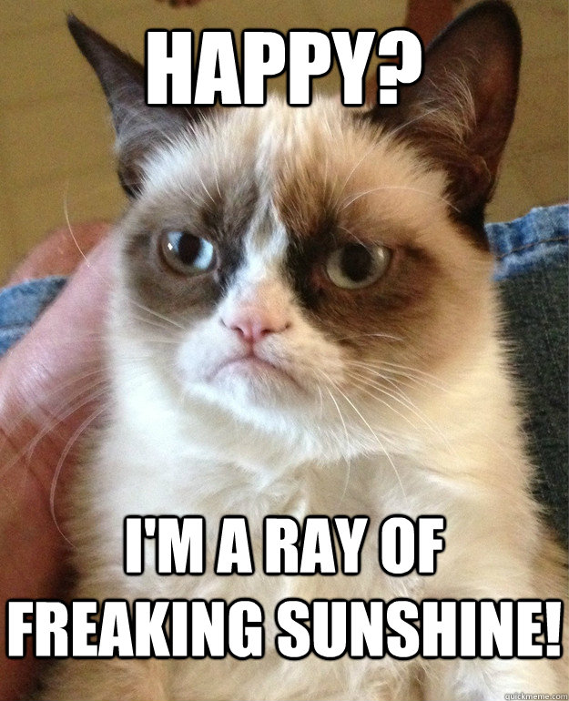 happy? I'm a ray of freaking sunshine! - happy? I'm a ray of freaking sunshine!  Grumpy Cat