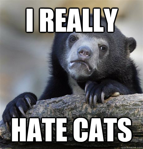 i really hate cats  Confession Bear