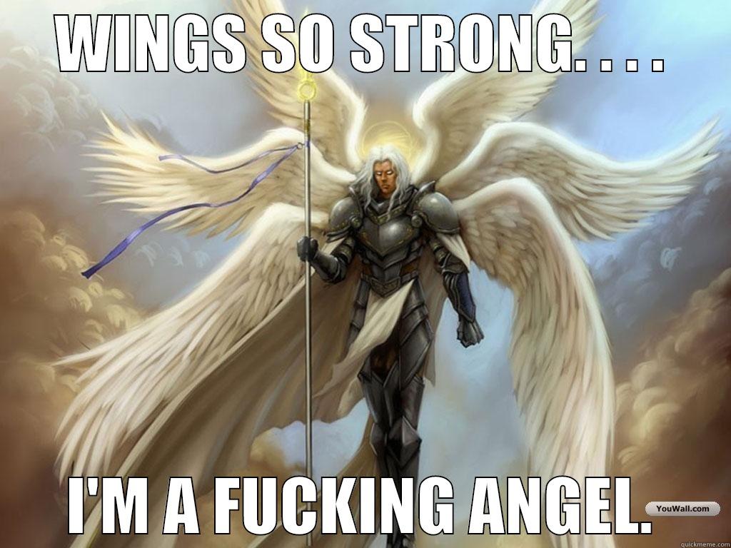 When girls post about their wings - WINGS SO STRONG. . . . I'M A FUCKING ANGEL. Misc