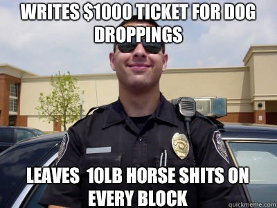 Writes $1000 ticket for dog droppings Leaves  10lb horse shits on every block  