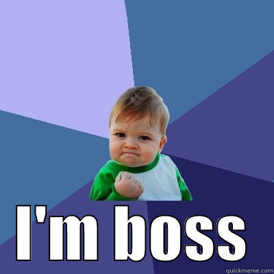 sono il capo -  I'M BOSS Success Kid