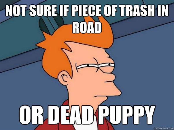 Not sure if piece of trash in road Or dead puppy - Not sure if piece of trash in road Or dead puppy  Futurama Fry