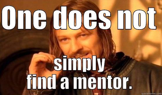 Looking for a mentor in Mordor - ONE DOES NOT  SIMPLY FIND A MENTOR. Boromir