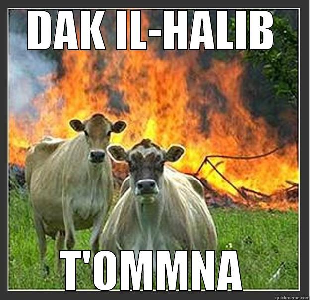 DAK IL-HALIB T'OMMNA Evil cows