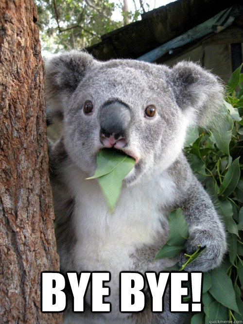  bye bye! -  bye bye!  koala bear