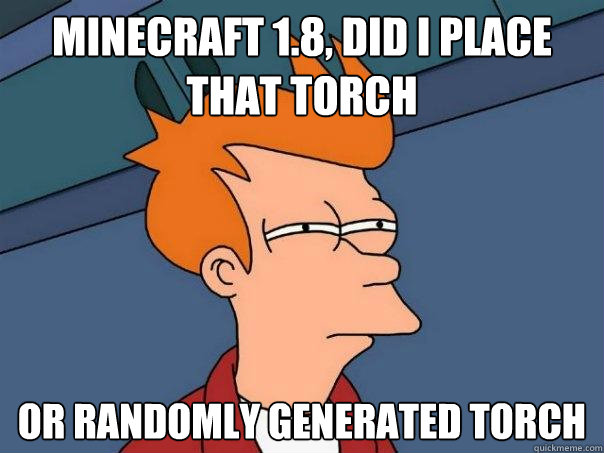 Minecraft 1.8, did i place that torch  Or randomly generated torch  Futurama Fry