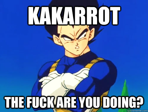 Kakarrot the fuck are you doing?   Dragon Ball Z