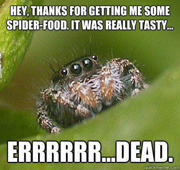 Hey, thanks for getting me some spider-food. It was really tasty... errrrrr...dead.  Misunderstood Spider