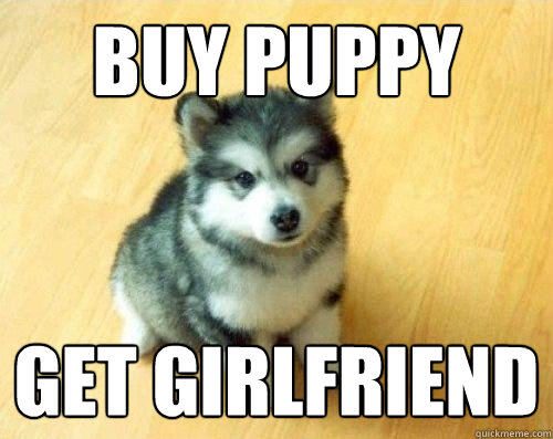 BUY PUPPY GET GIRLFRIEND  Baby Courage Wolf