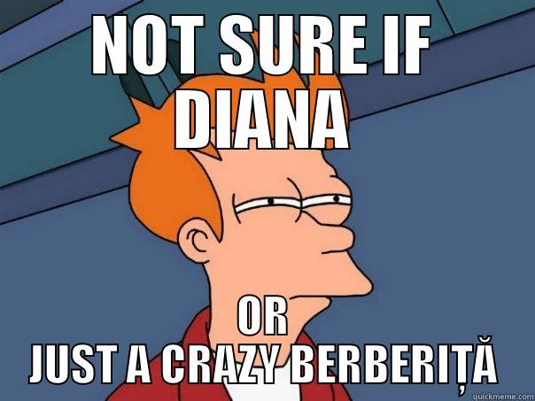 NOT SURE IF DIANA OR JUST A CRAZY BERBERIȚĂ Futurama Fry