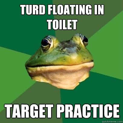 Turd Floating in Toilet Target Practice - Turd Floating in Toilet Target Practice  Foul Bachelor Frog