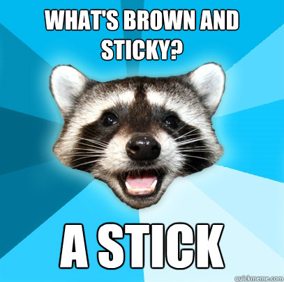 WHAT'S BROWN AND STICKY? A STICK  Lame Pun Coon