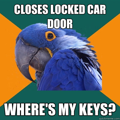 closes locked car door where's my keys? - closes locked car door where's my keys?  Paranoid Parrot