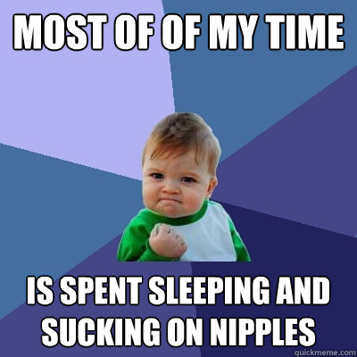 most of of my time is spent sleeping and sucking on nipples  Success Kid