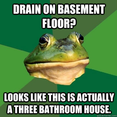 Drain on basement floor? Looks like this is actually a three bathroom house. - Drain on basement floor? Looks like this is actually a three bathroom house.  Foul Bachelor Frog