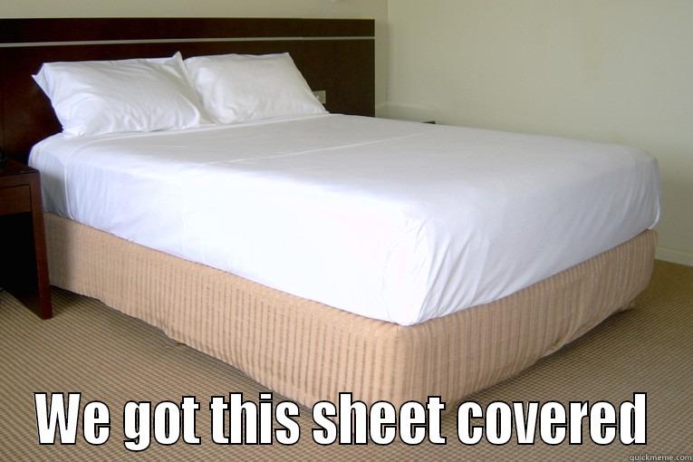  WE GOT THIS SHEET COVERED Misc