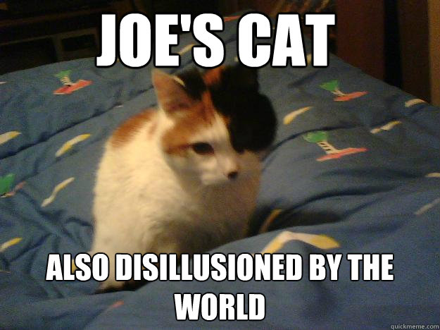 Joe's cat Also Disillusioned by the world - Joe's cat Also Disillusioned by the world  Disillusionment