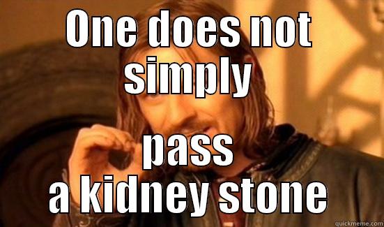 ONE DOES NOT SIMPLY PASS A KIDNEY STONE Boromir